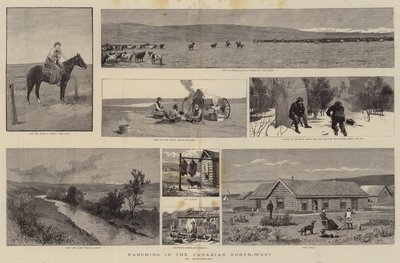 Élevage dans le nord-ouest canadien - English School